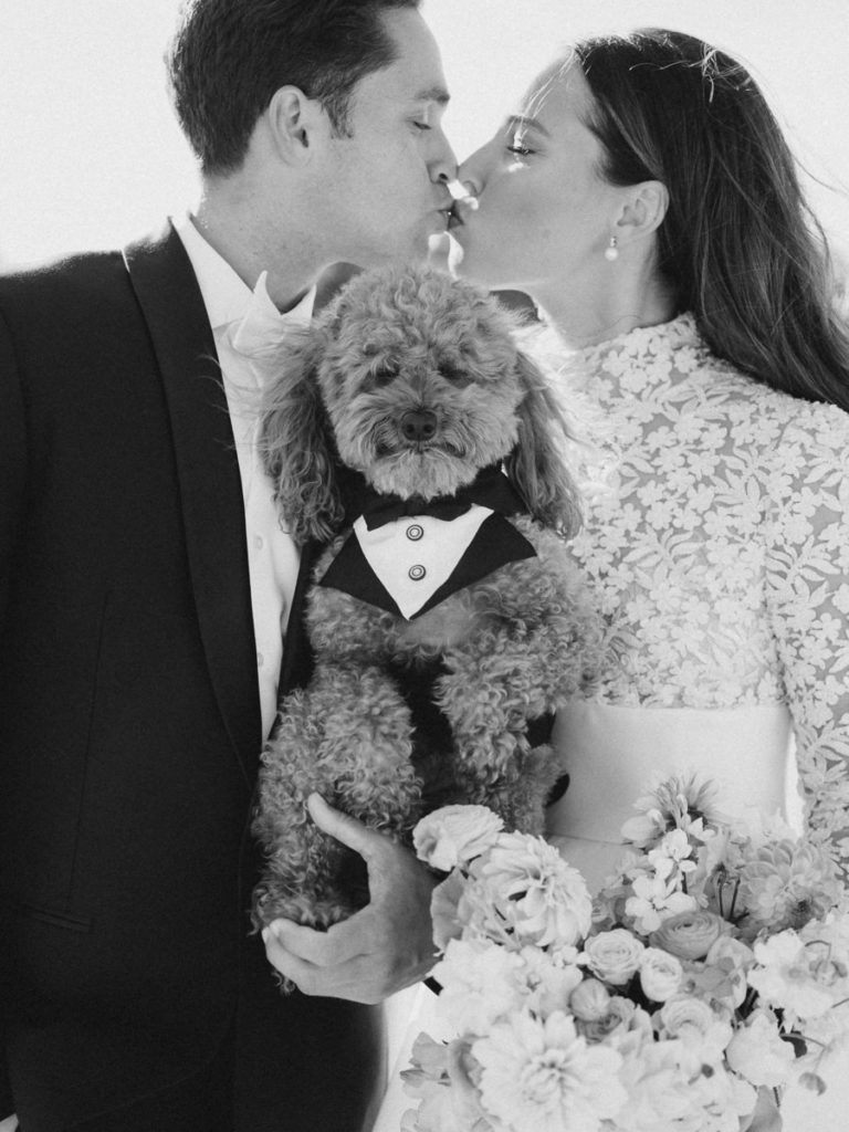 Puppy in tuxedo with bride and groom on wedding day